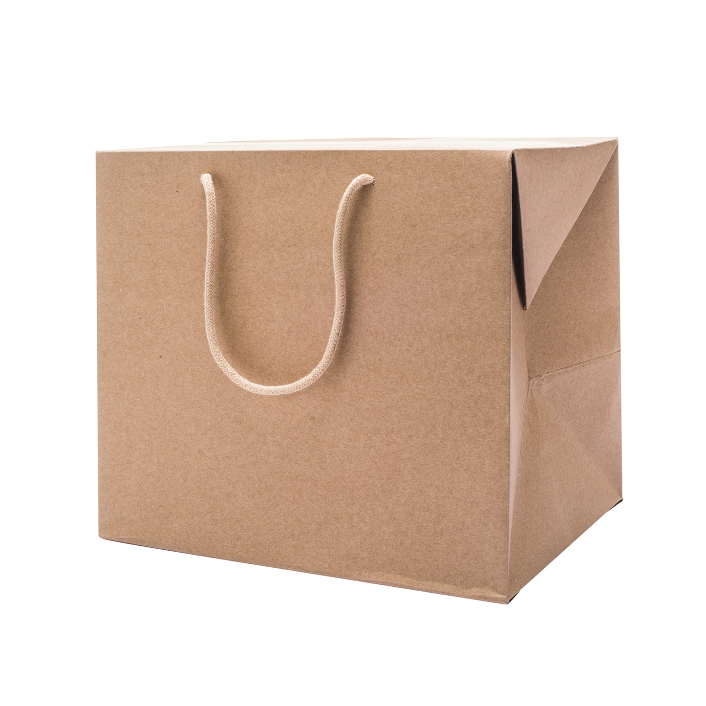 Bag Box Kraft per Confezioni