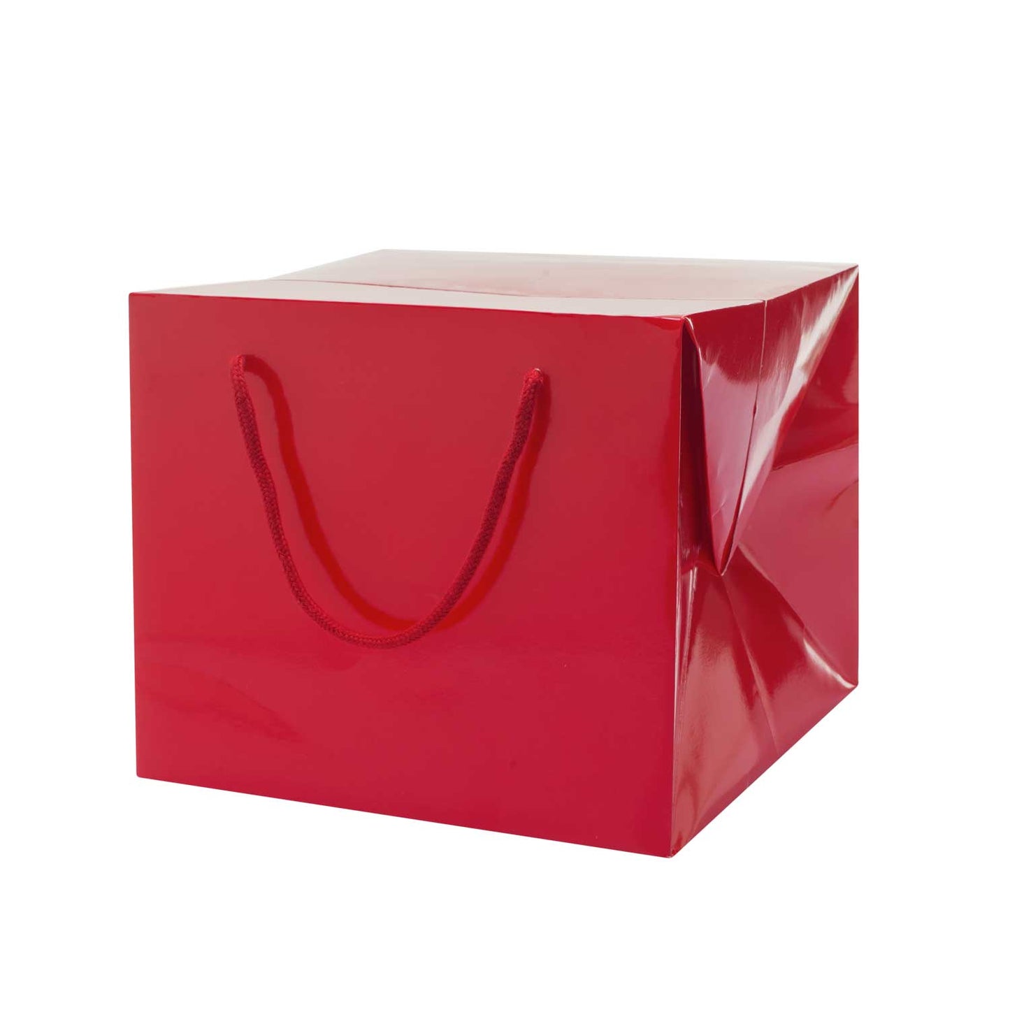 Bag Box Portapanettone Lusso Lucida