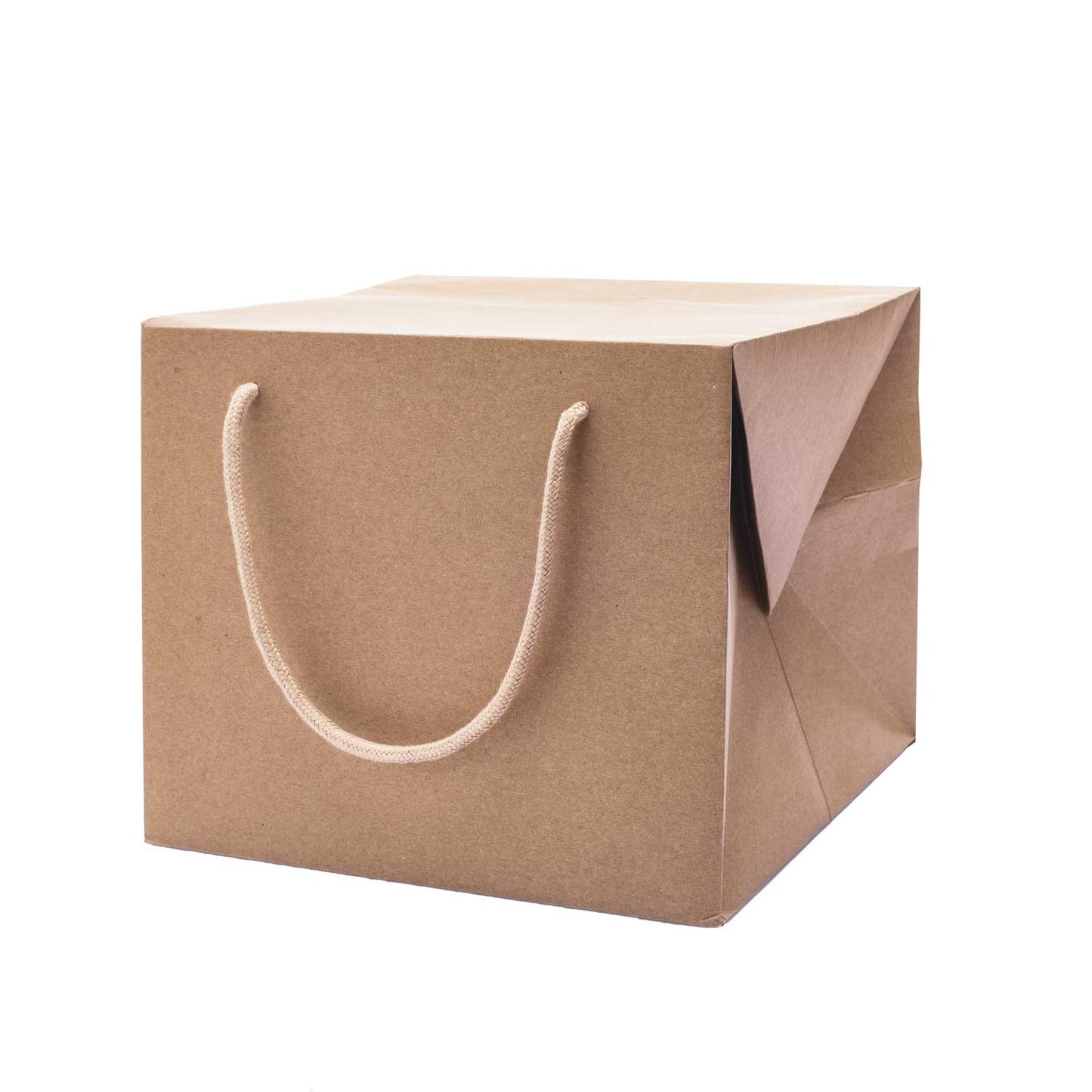 Bag Box Portapanettone Kraft