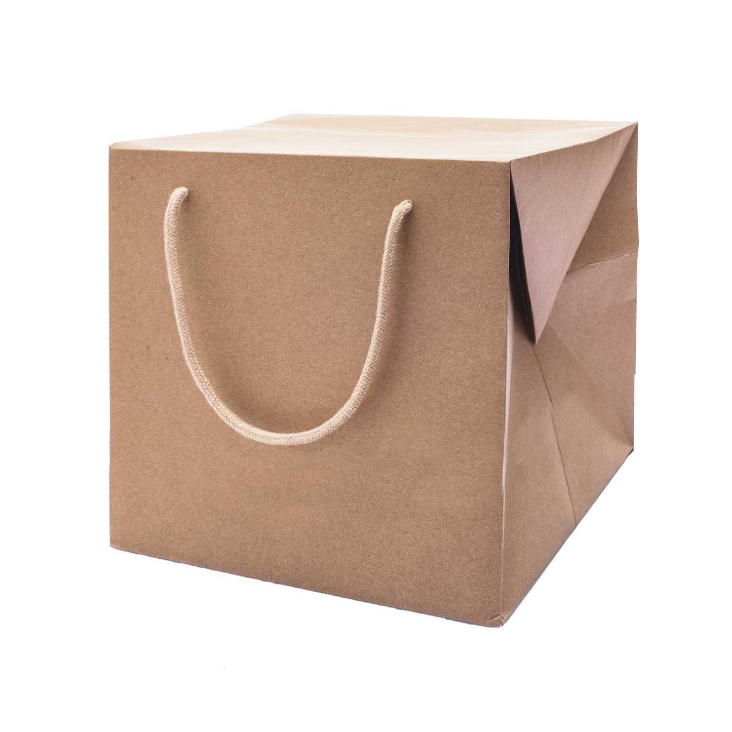 Bag Box Portapanettone Kraft